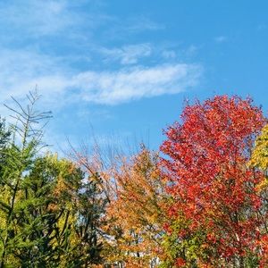 Meet your Posher, Jana